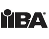 IIBA Exam Questions