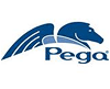 Pegasystems Test Questions